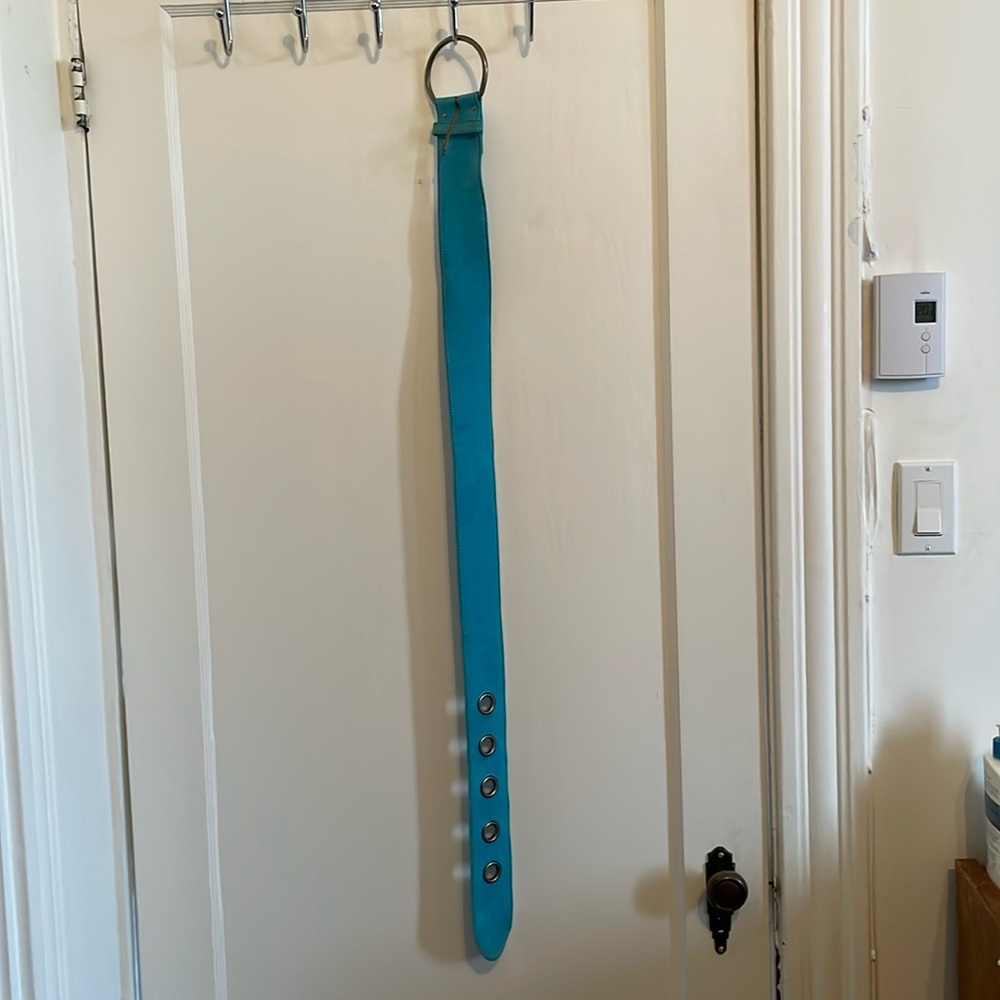 Belt